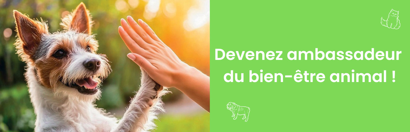 🐾 Samedi 14 juin, journée Bien-Être Animal.